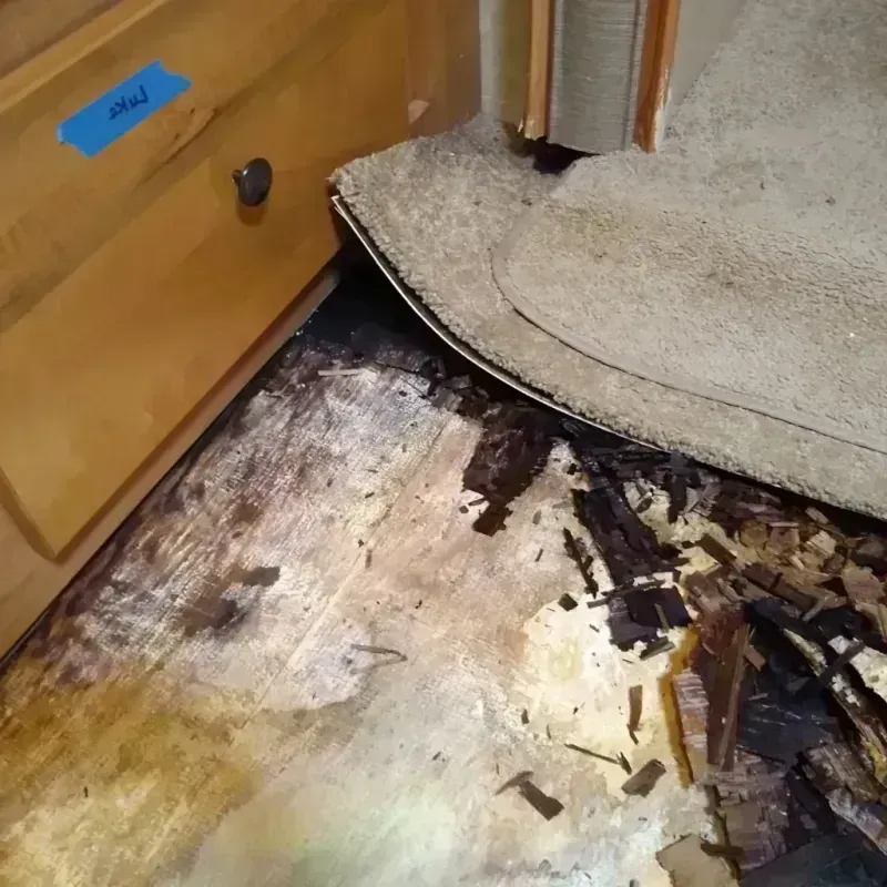 Wood Floor Water Damage in Little River, SC